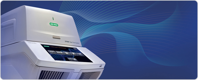 Real-time PCR molecular diagnostics system